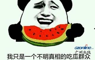 吃瓜群众关系网官网,网络舆论场中的社交图谱