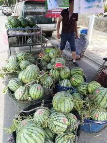 唐山网红吃瓜事件