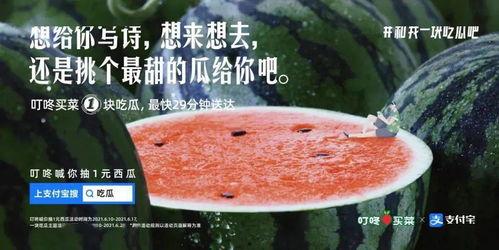 今日份吃瓜文案,盘点娱乐圈新鲜“瓜”事